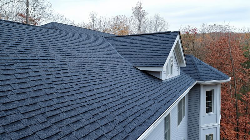 Shingle Roof Replacement