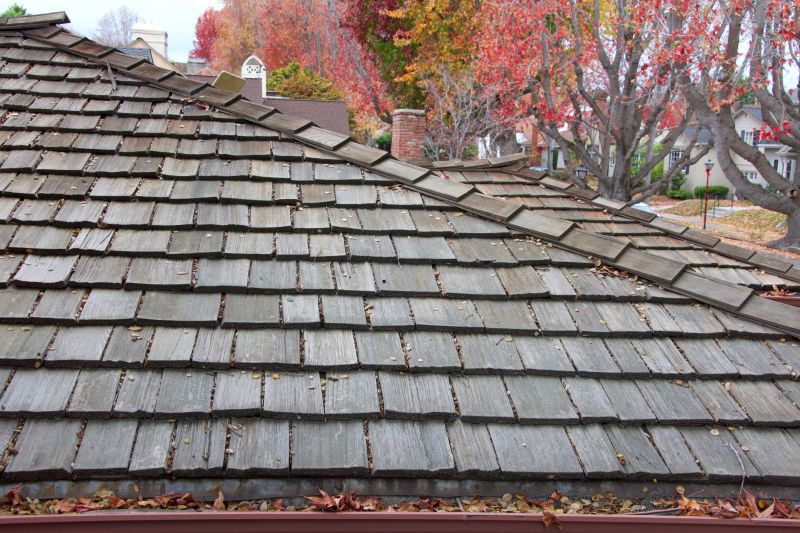 Fall Roofing